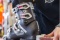 Top Shop Image